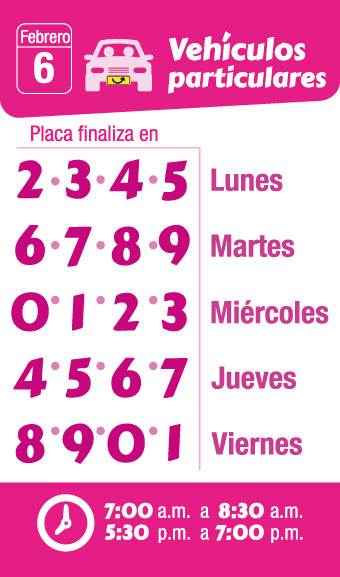 pico y placa particular