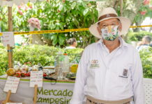 Mercados Campesinos funcionarán todos los días jueves Mercados Campesinos funcionarán todos los días jueves