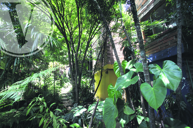 La casa de Giuliana Guerra y Hernán Darío Rincón, en el barrio San Germán, es rica en biodiversidad. Foto Róbinson Henao