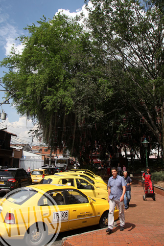Varias empresas de taxis cubren el territorio de El Poblado, la comuna con mayor extensión de la ciudad, y con mayores dificultades de movilidad. Fotografía tomada por Róbinson henao, el 27 de octubre de 2015
