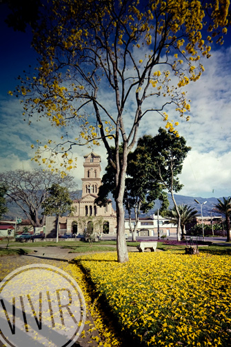 Histórica imagen de la Iglesia de San José, localizada frente al parque principal. Fue construida en 1904. Fotografía tomada por Gabriel Carvajal Pérez, cortesía BPP