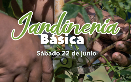Taller de jardinería básica en el Jardín Botánico Taller de jardinería básica en el Jardín Botánico