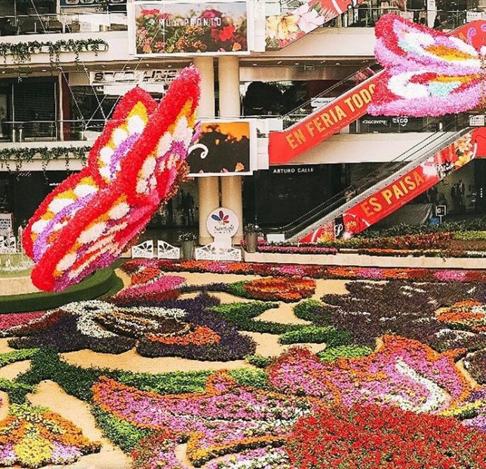 Tapete de flores Tapete de flores