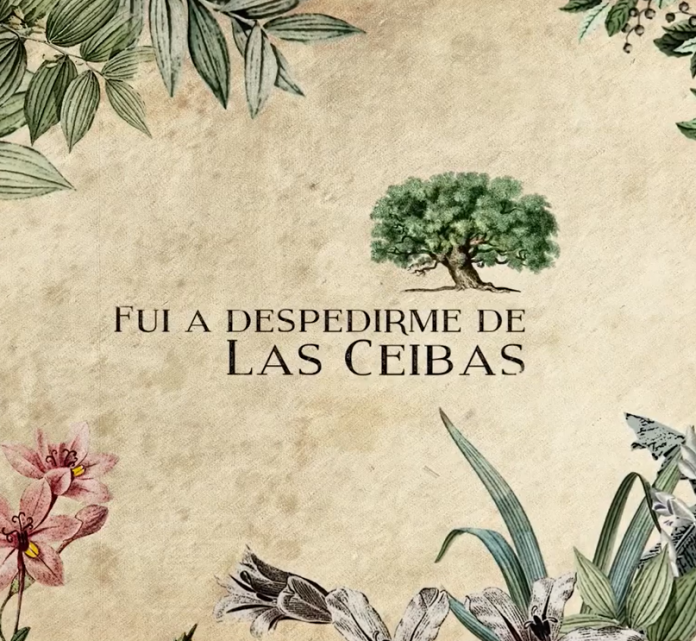 Fui-a-despedirme-de-las-ceibas