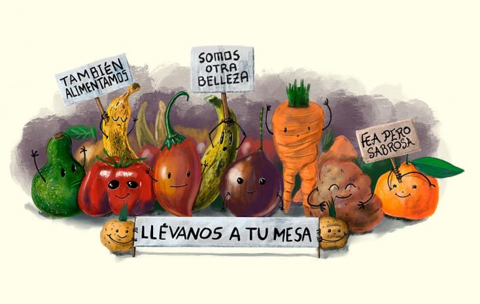 Los 10 vegetales más desechados en Colombia