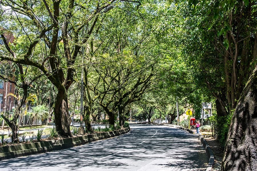 Metroplús tiene un año para reactivar obras en Envigado