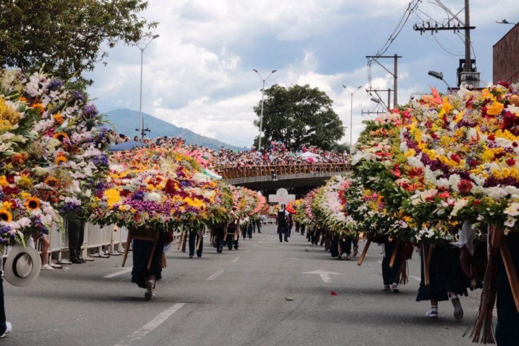 Desfile de Silleteros en vivo