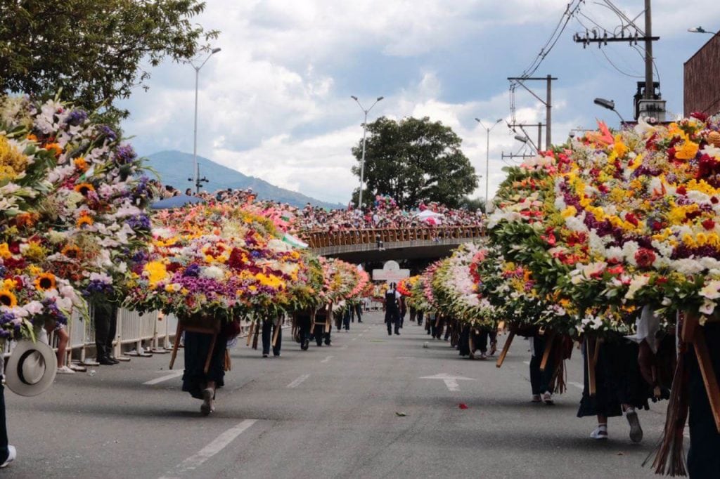 Desfile de Silleteros en vivo