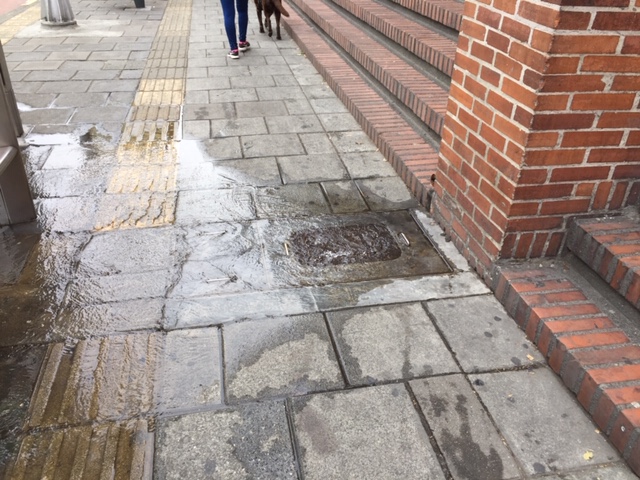 Agua en desperdicio