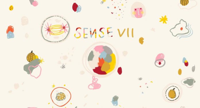 sense (1)