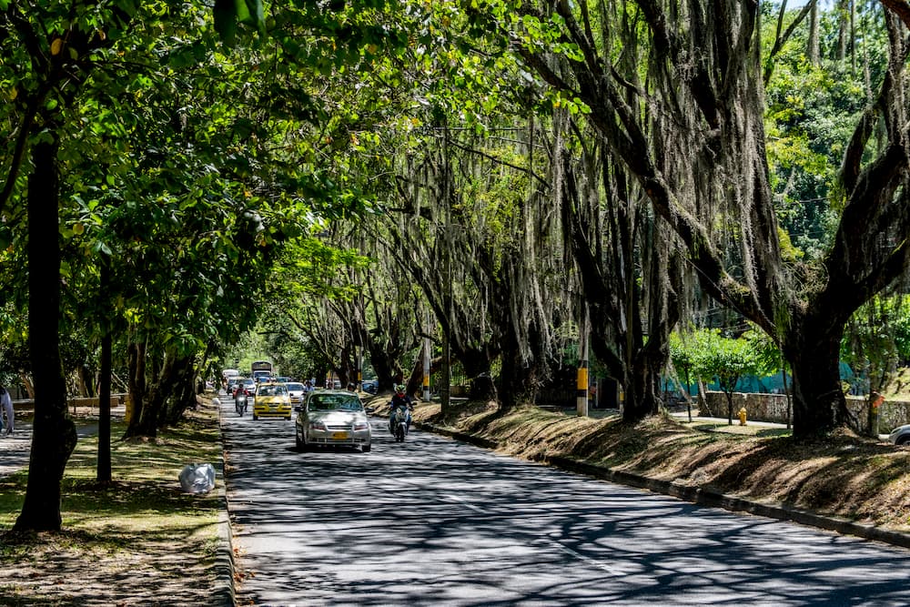 túnel verde