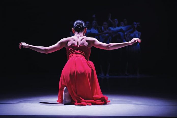 Medellín celebra el baile con DanzaMed 2019 Medellín celebra el baile con DanzaMed 2019