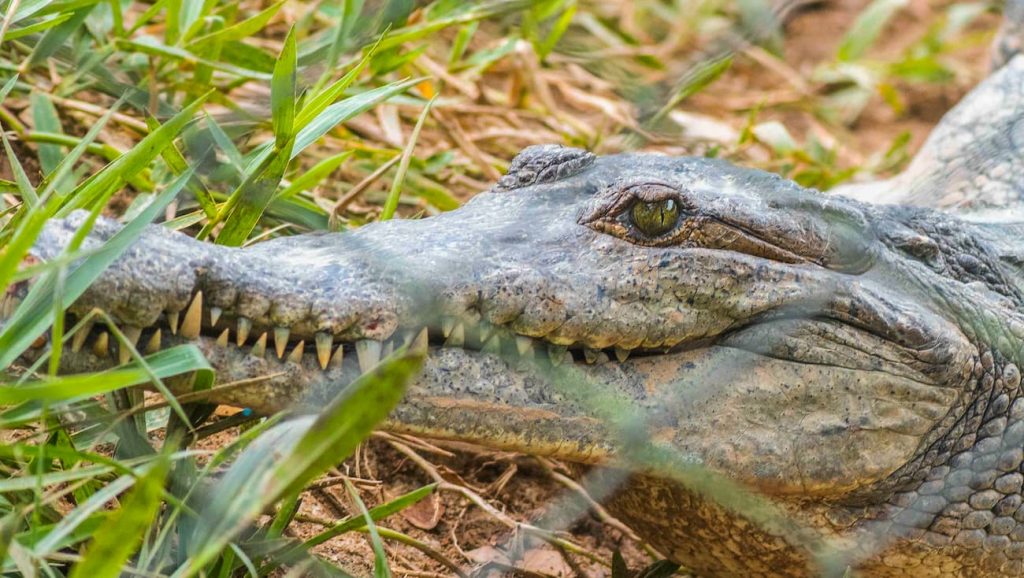 Parque Temático Hacienda Nápoles, un lugar para asombrarse