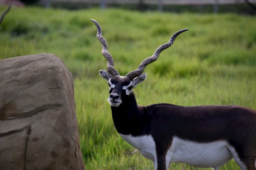 Parque Temático Hacienda Nápoles, un lugar para asombrarse