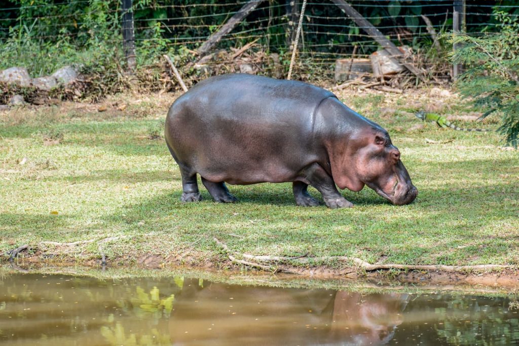 Parque Temático Hacienda Nápoles, un lugar para asombrarse