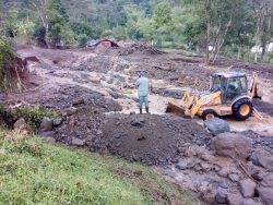 Emergencia en Jericó