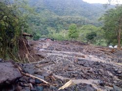 Emergencia en Jericó