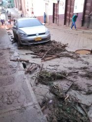 Emergencia en Jericó