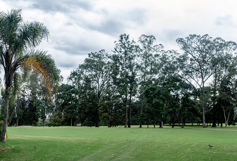 Club El Rodeo a Medellín