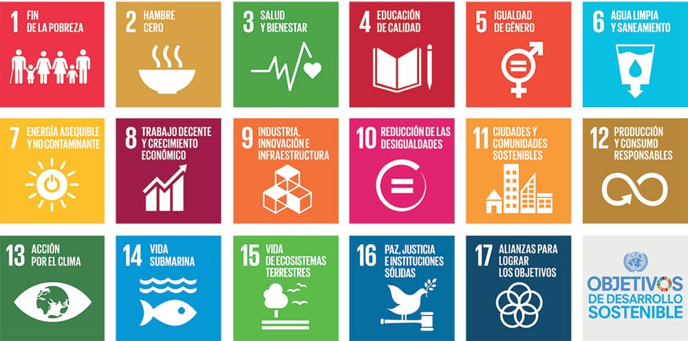 El 2030 marca un momento importante, pues para ese entonces deberemos haber alcanzado los Objetivos de Desarrollo Sostenible (ODS),