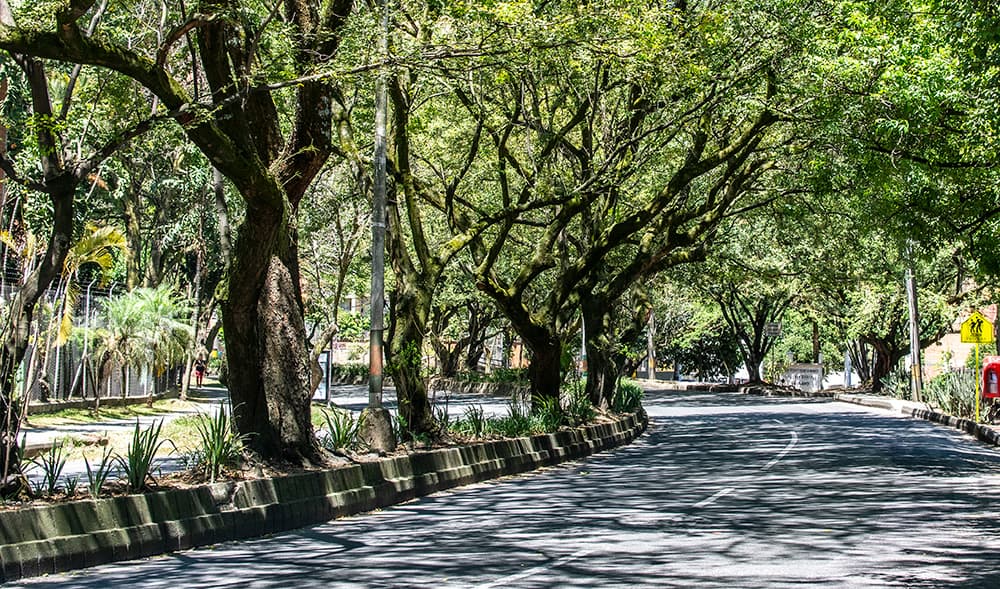 Sobrecosto de las obras del metroplús en el Túnel Verde