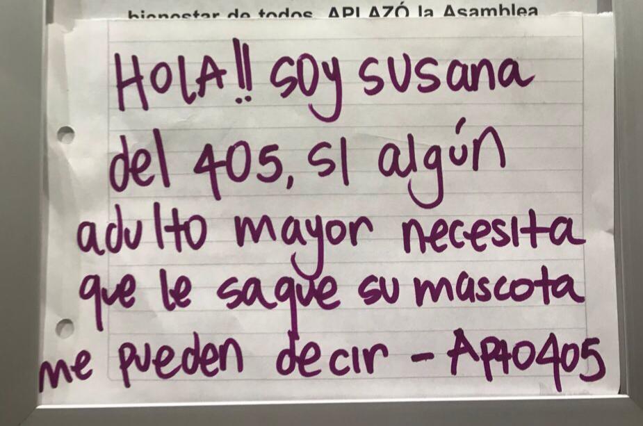 Paseadora de mascotas