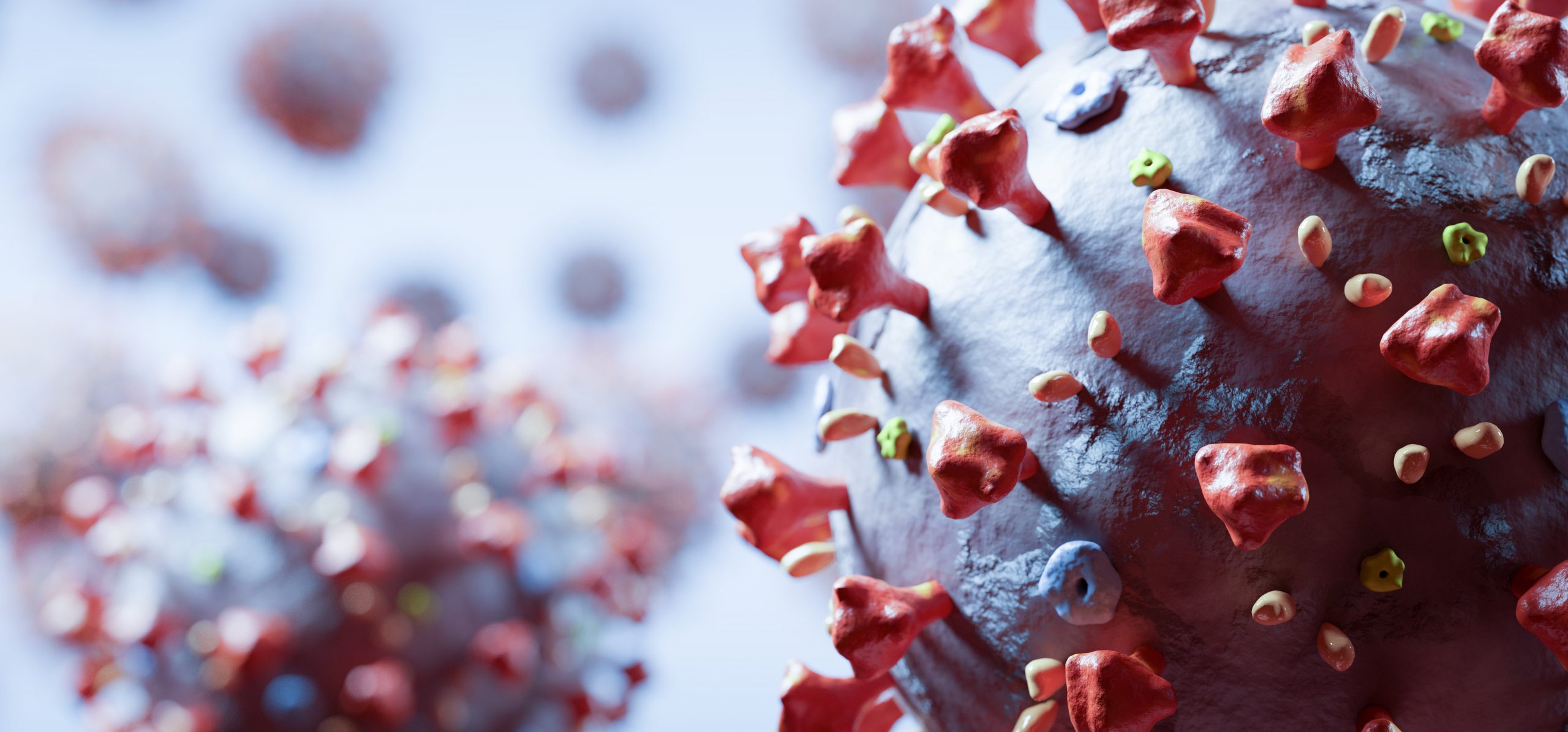 Coronavirus