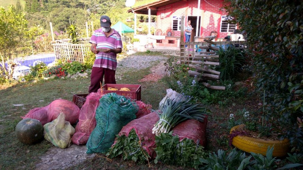 Mercados Campesinos