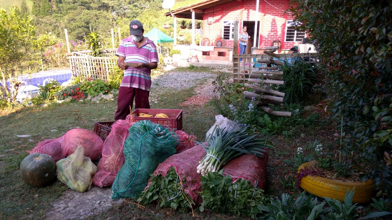 Mercados Campesinos