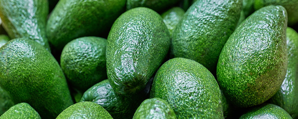 El aislamiento y el drama de vender aguacates en el rebusque