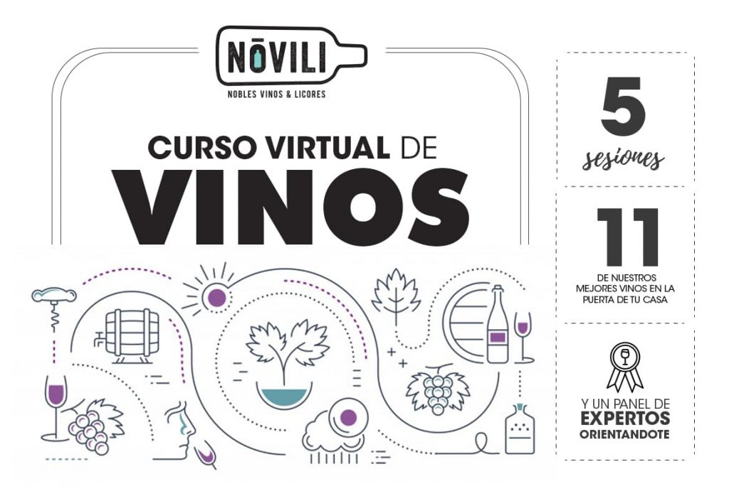 Curso virtual de vinos. Aprende y disfruta con todos los sentidos