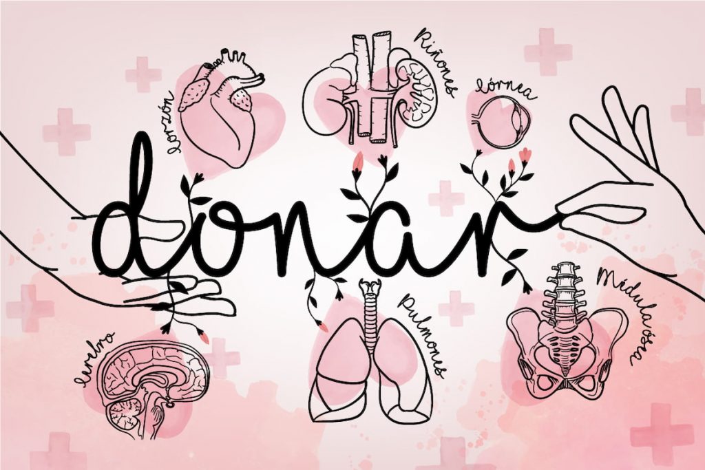 donación de órganos