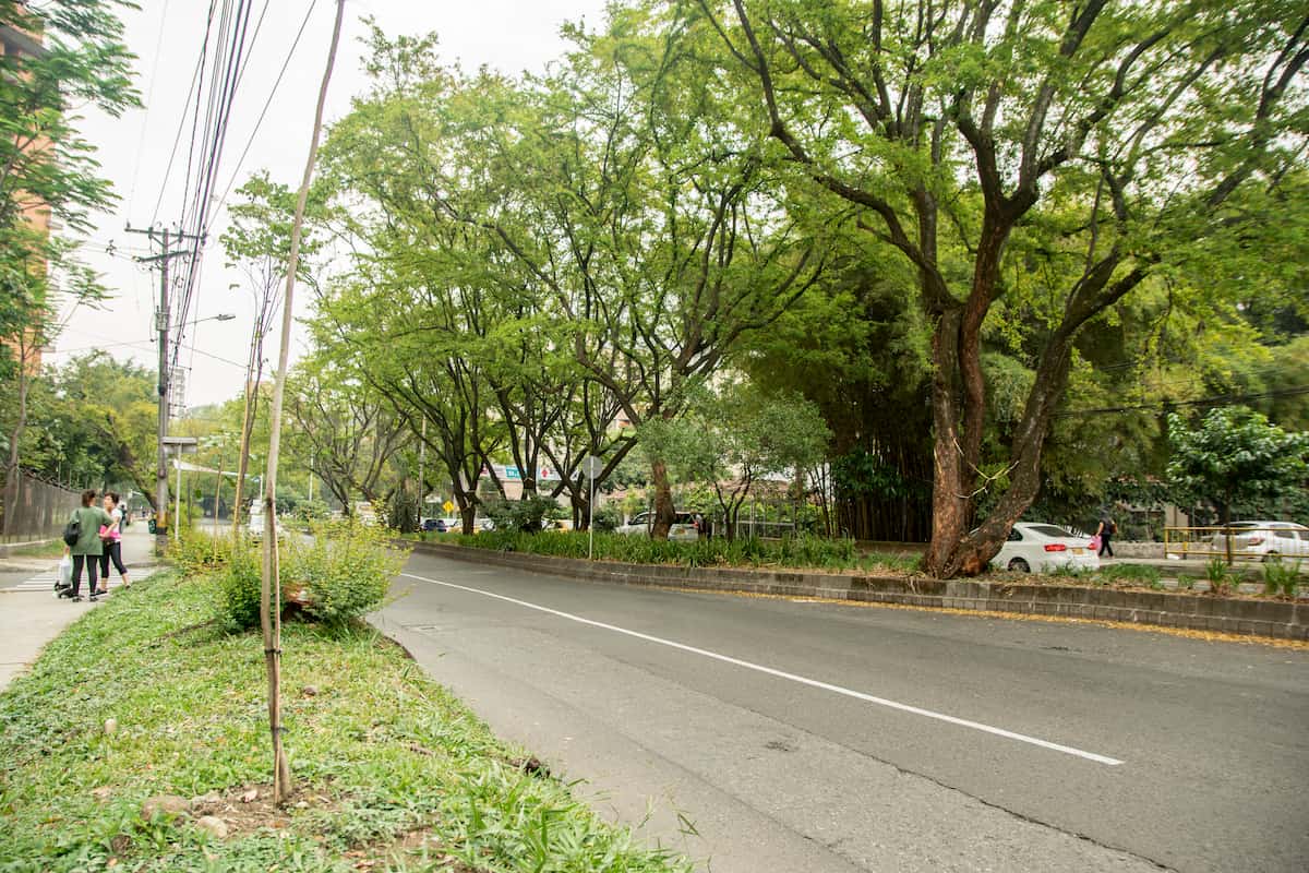 Metroplus Envigado Túnel Verde