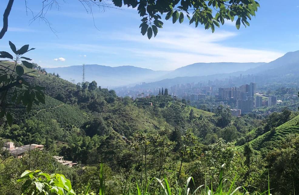 envigado-la-catedral