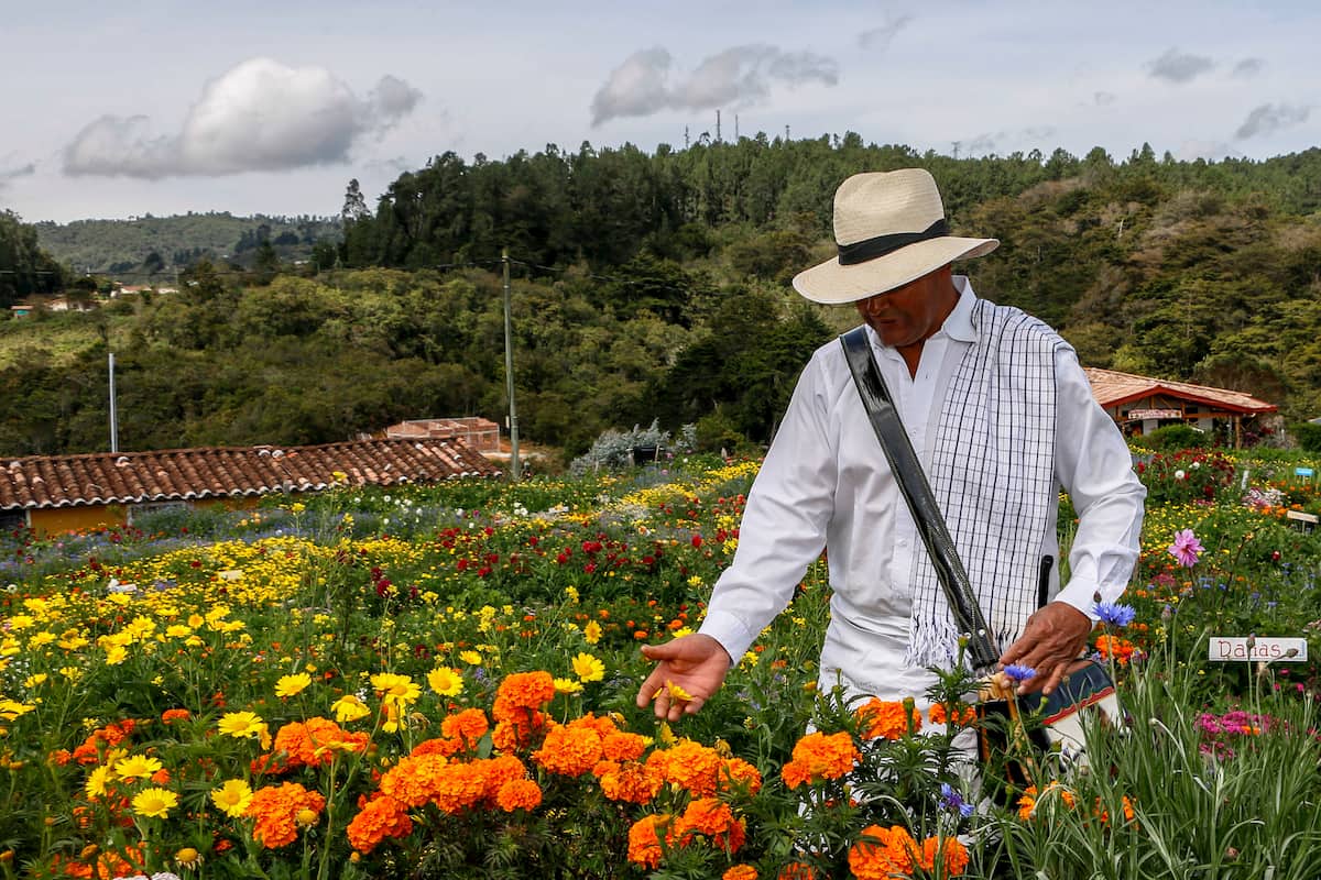 Feria de las Flores 2020 será virtual y en noviembre