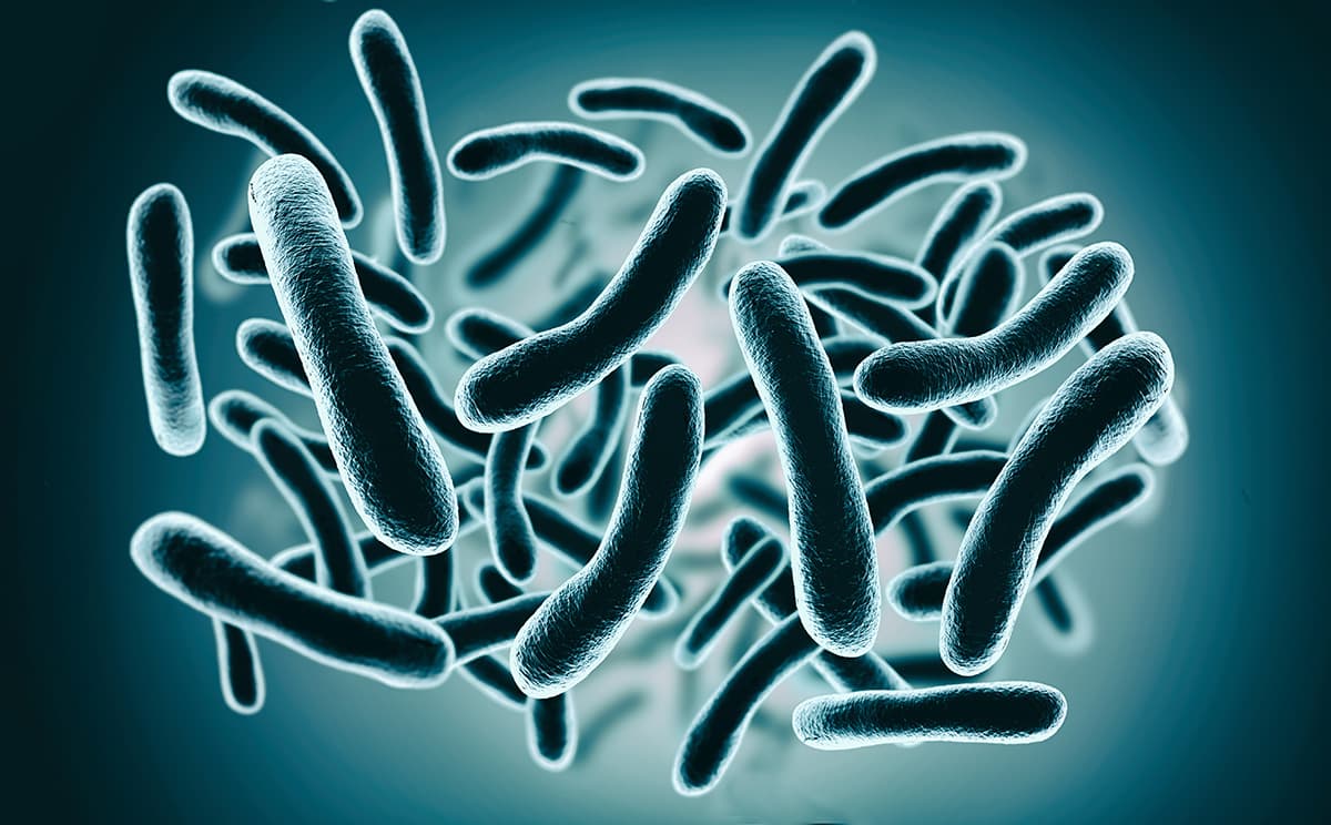 Bacterias extremas en El Parque Explora