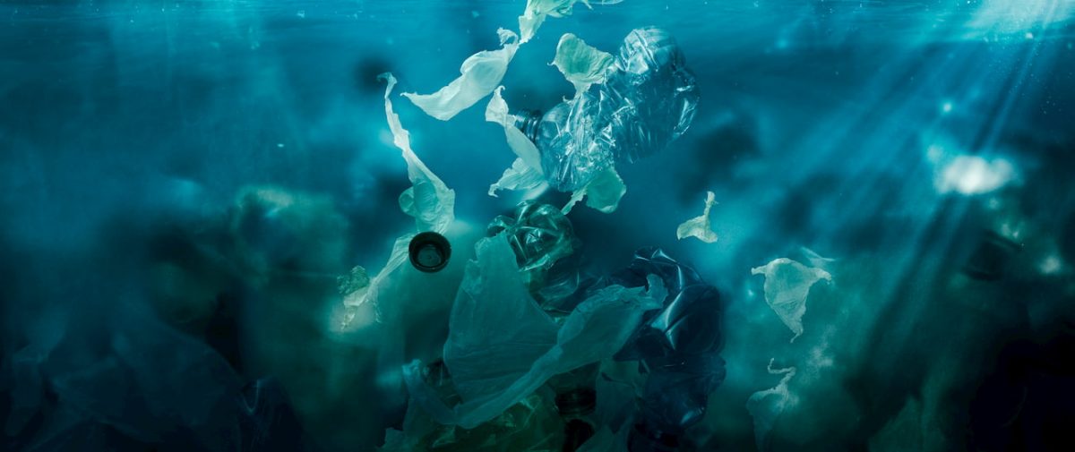 Contaminación en el mar por plástico