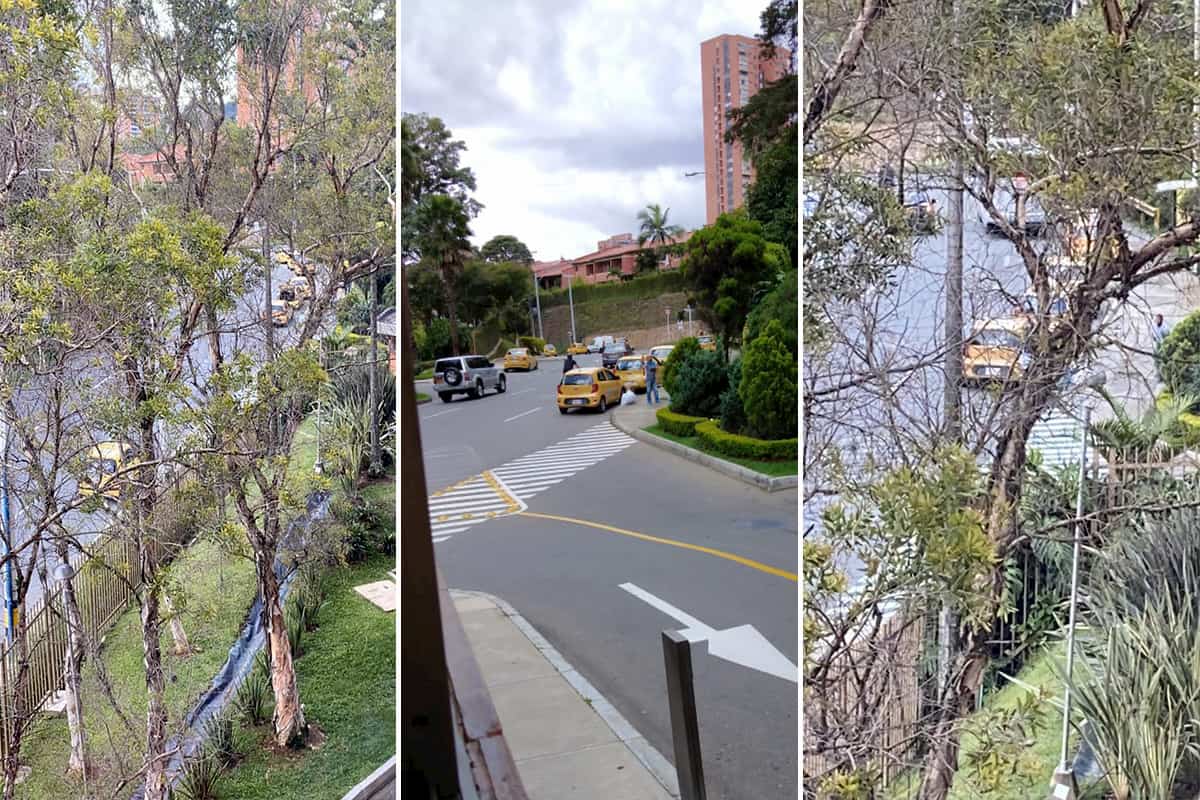 Acopio de taxis en la Superior