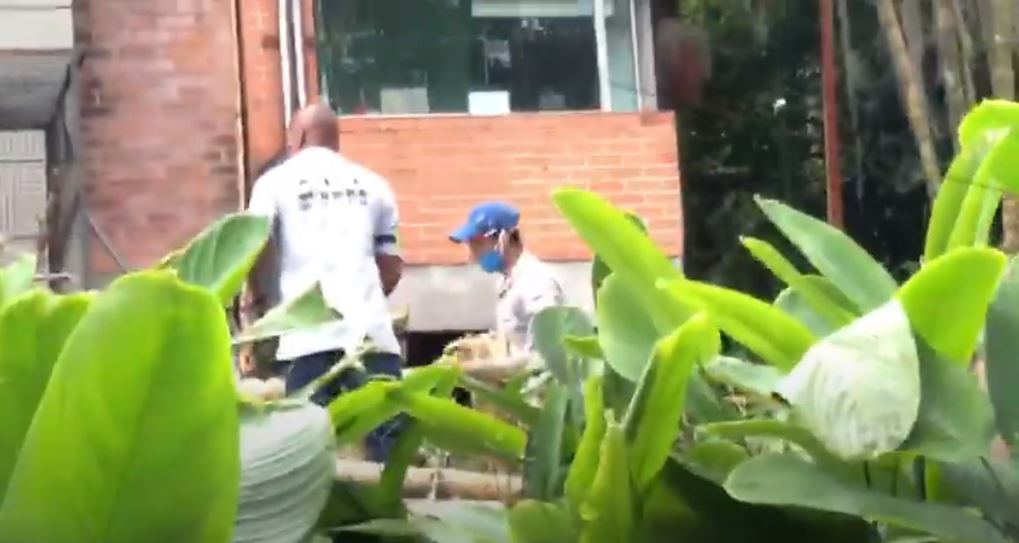 Tala de arboles en la Clínica el Rosario