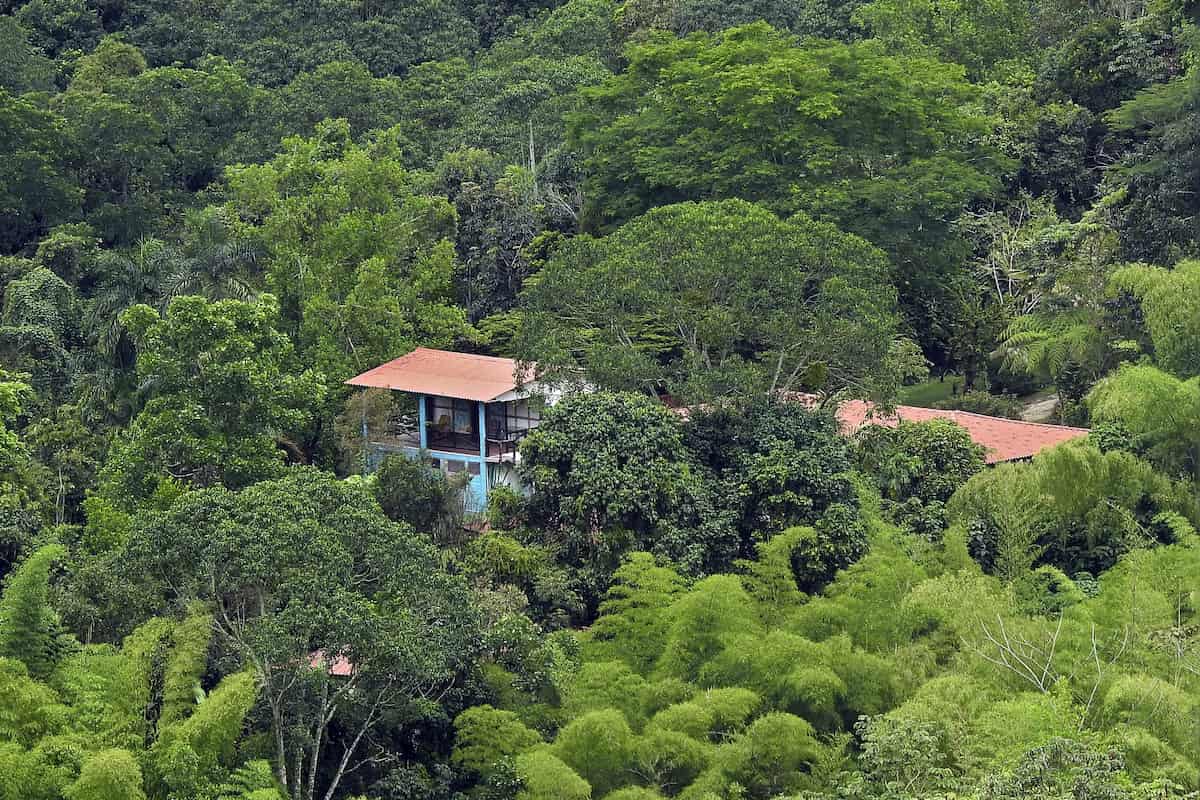 Tinamu Birding Reserva Natural