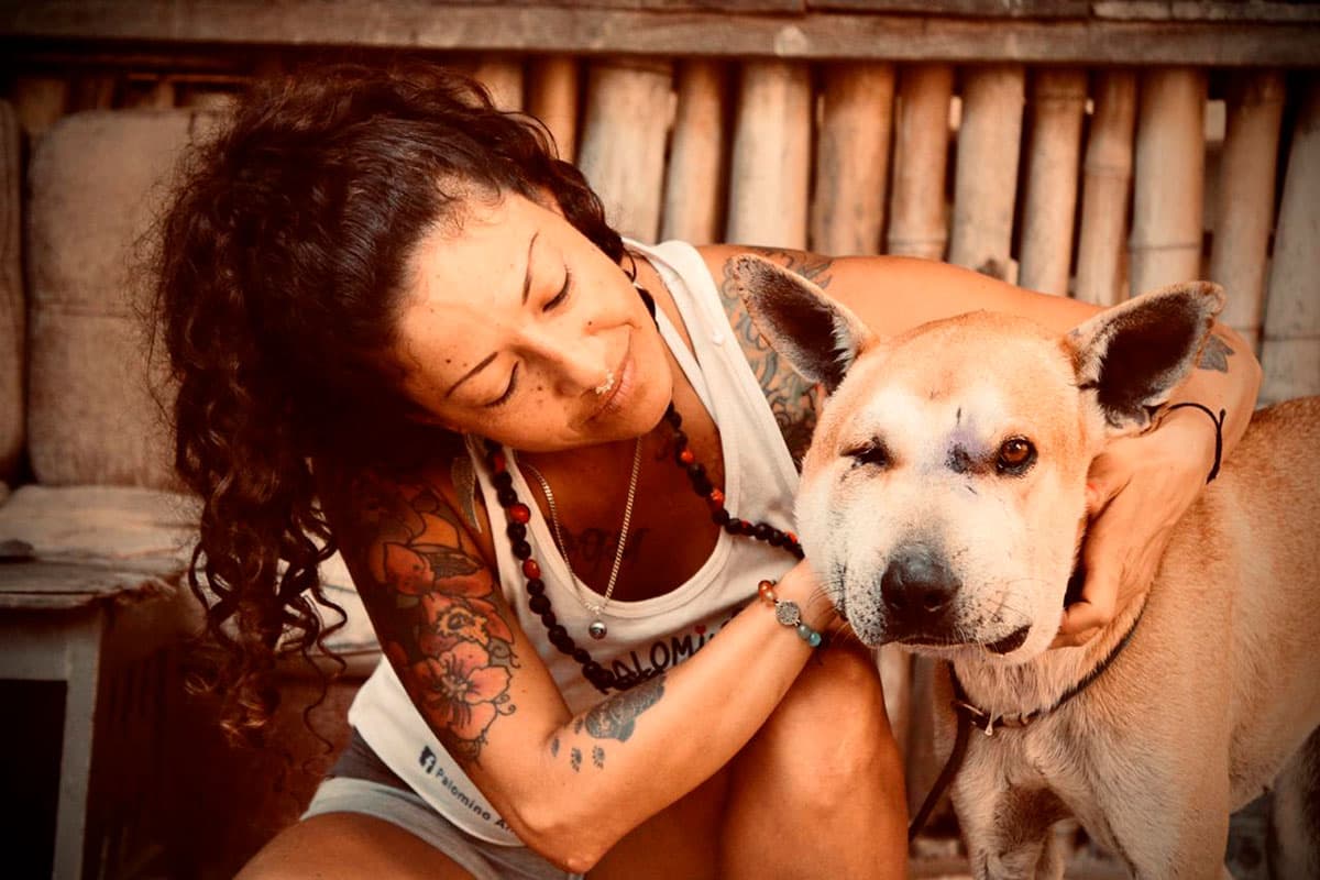 campaña para ayudar a los perros Héroes de los Peludos