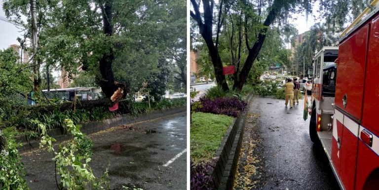Precaución: caída de árbol en la avenida El Poblado por fuerte tormenta