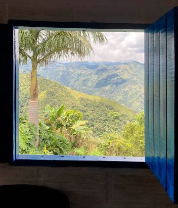 Colombia Coffee Tree Sea cafetero en la distancia