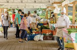 Mercados Campesinos volvieron a Medellín.