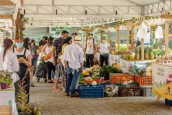 Mercados Campesinos volvieron a Medellín.