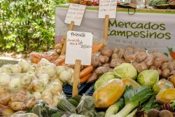 Mercados Campesinos volvieron a Medellín.