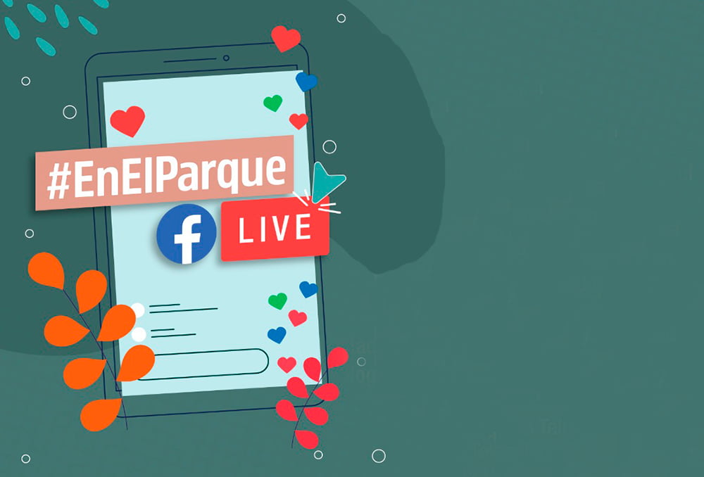 en-elparque-desarrollo-de-la-personalidad