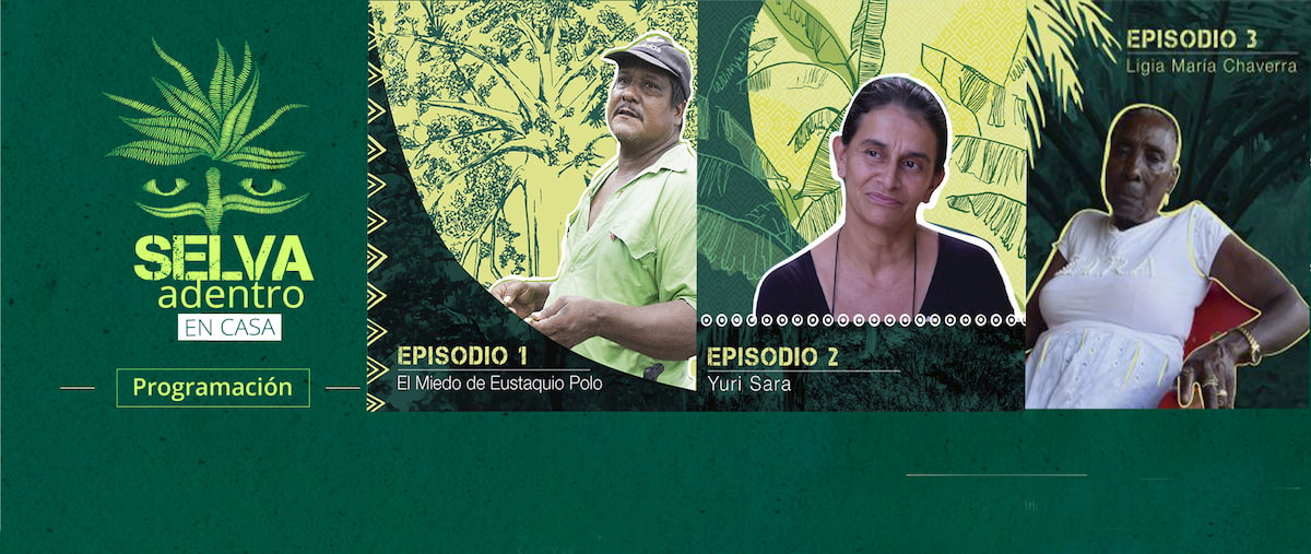 Selva adentro en casa programación