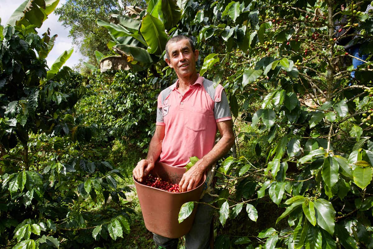 Urbania Café, una empresa antioqueña nacida hace cinco años