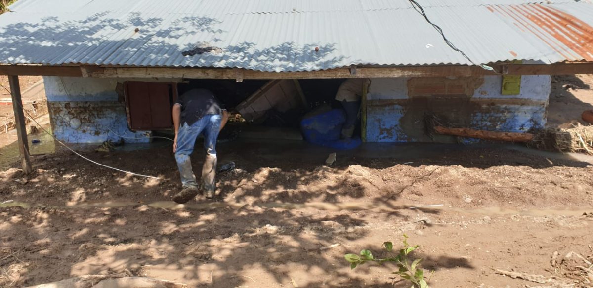 Es prioridad restablecer condiciones de vida de los damnificados en Dabeiba: Antioquia Presente
